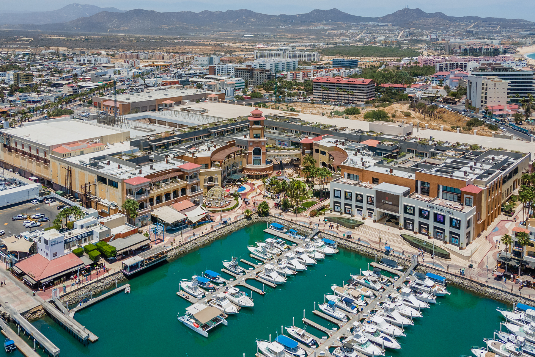 Cabo Harbour